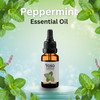 Peppermint Essential Oil