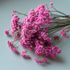 Dry Flowers